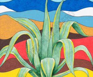 Agave