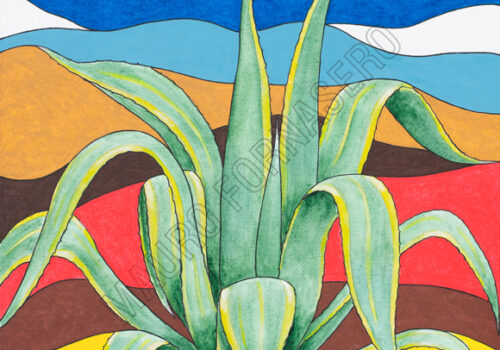 Agave